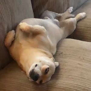 Meet your Posher, Jim